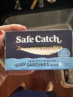 Wild Sardines in Water