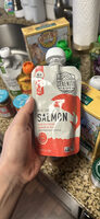 Salmon