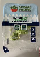 Butter Leaf Lettuce