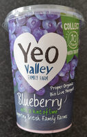 Blueberry Yogurt