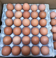 Caisse de 240 oeufs frais