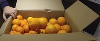 Oranges Biologiques (Naveline)
