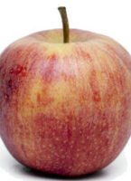 Manzana
