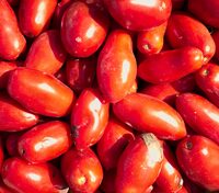 Red Tomatoes - various varieties