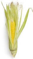Sweet Yellow Corn on the Cob