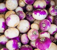 Turnip Root - Fresh