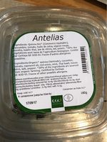 Antelias