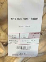 Oyster Mushroom