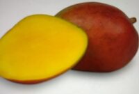 Mangue