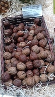 Noix fraîches du Sud-Ouest