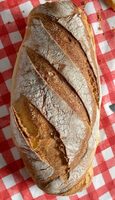 Pane