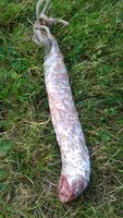Saucisse sèche