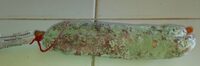 Saucisson sec