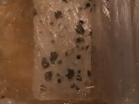 Roquefort