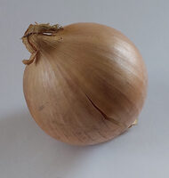 Cebula żółta, onion