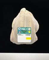 Poulet jaune