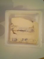 Mascarpone au Gorgonzola
