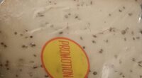 Gouda Holland au cumin igp