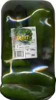 Pimientos verdes