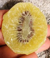 Kiwi déshydraté