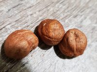 Noisette