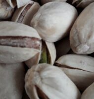 Pistaches grillés à sec et salées
