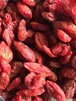 Baies de Goji séchées
