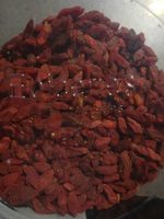 Baies de Goji séchées