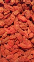 Baies de Goji séchées