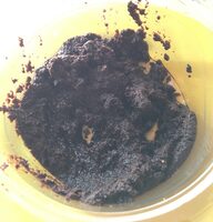 Tapenadine olivade noire