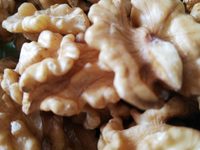 Cerneaux de noix