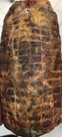 Coppa ile de beauté
