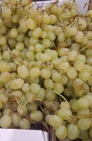 Raisin blanc italie