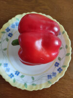 Poivron rouge