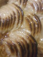 Tarte vergeoise pur beurre aux pommes