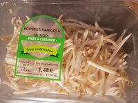 Poussés haricots mungo