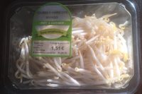Pousse de haricots Mungo