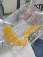 Mangue