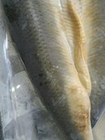 'kippers fumés