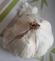 Ail blanc