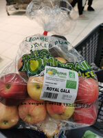Pommes de table