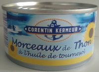 Morceaux de thon