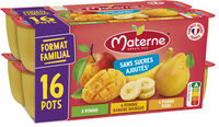 MATERNE Compotes SSA Multivariétés 16x100g Format Familial