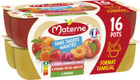 MATERNE Compotes SSA Multivariétés 16x100g Format Familial