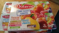 Compotes Materne Fruits jaunes SSA