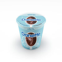 Danette creme dessert vegetale chocolat lait coco 400 g x 1