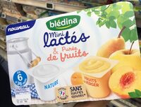 Blédina Mini lactés 12x55g Nature et Purée de fruits du verger sans sucres ajoutés dès 6 mois