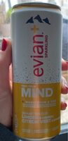 Evian+ Limette & Ingwer 33cl ALU
