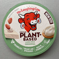 Vegan tyvený sýr