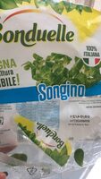Songino